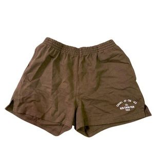 Brandy Melville Brown Shorts